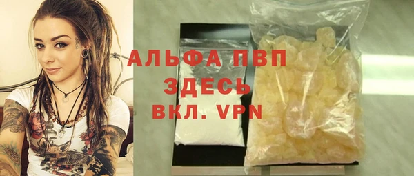 спиды Богданович