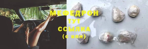 прущие грибы Бикин