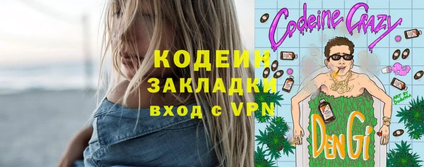 прущие грибы Бикин