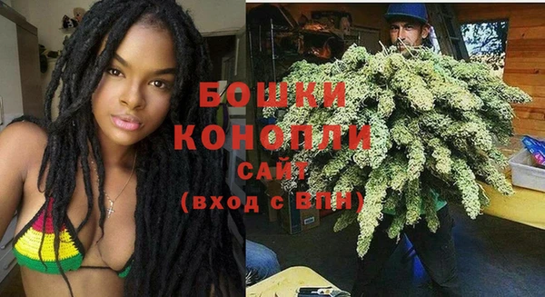 спиды Богданович