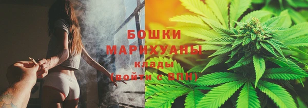 соль ск Богородск