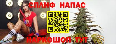 гашик Балахна