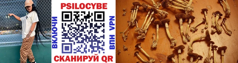 Псилоцибиновые грибы мухоморы  купить  цена  маркетплейс телеграм  Вязники 