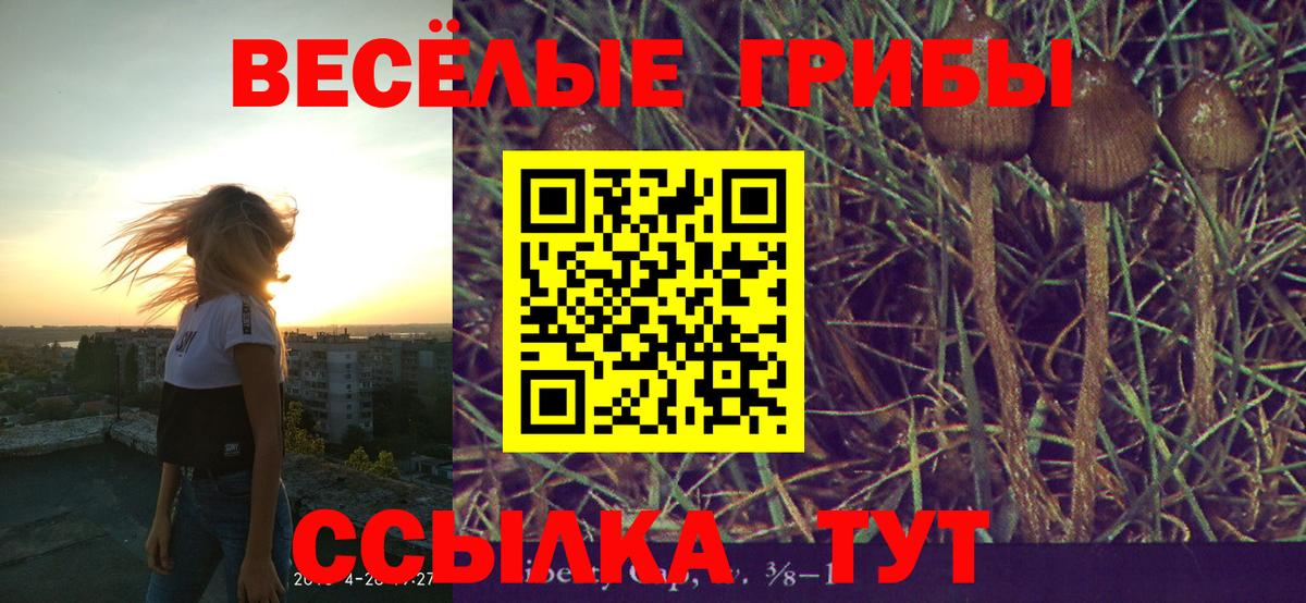 Галлюциногенные грибы ЛСД  где купить наркоту  Галлюциногенные грибы MAGIC MUSHROOMS  Вязники 