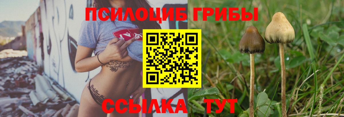 Галлюциногенные грибы ЛСД Вязники